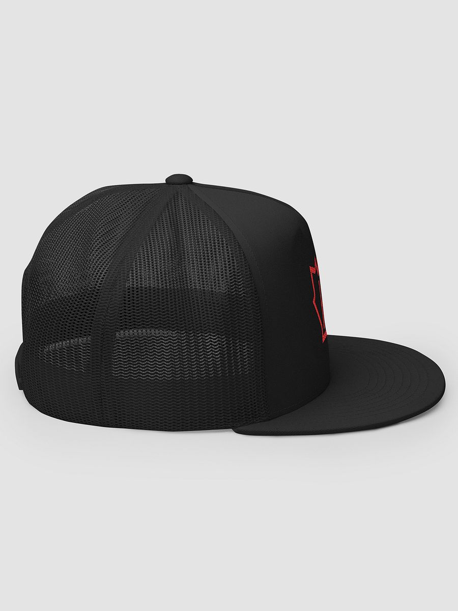 HTH Snapback product image (3)
