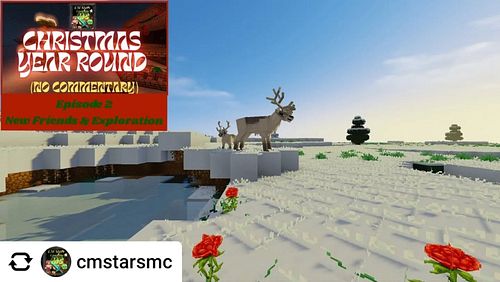 Posted @withregram • @cmstarsmc We're making new friends & exploring our Christmas dimension on the CMS PPcraft server. @mand...