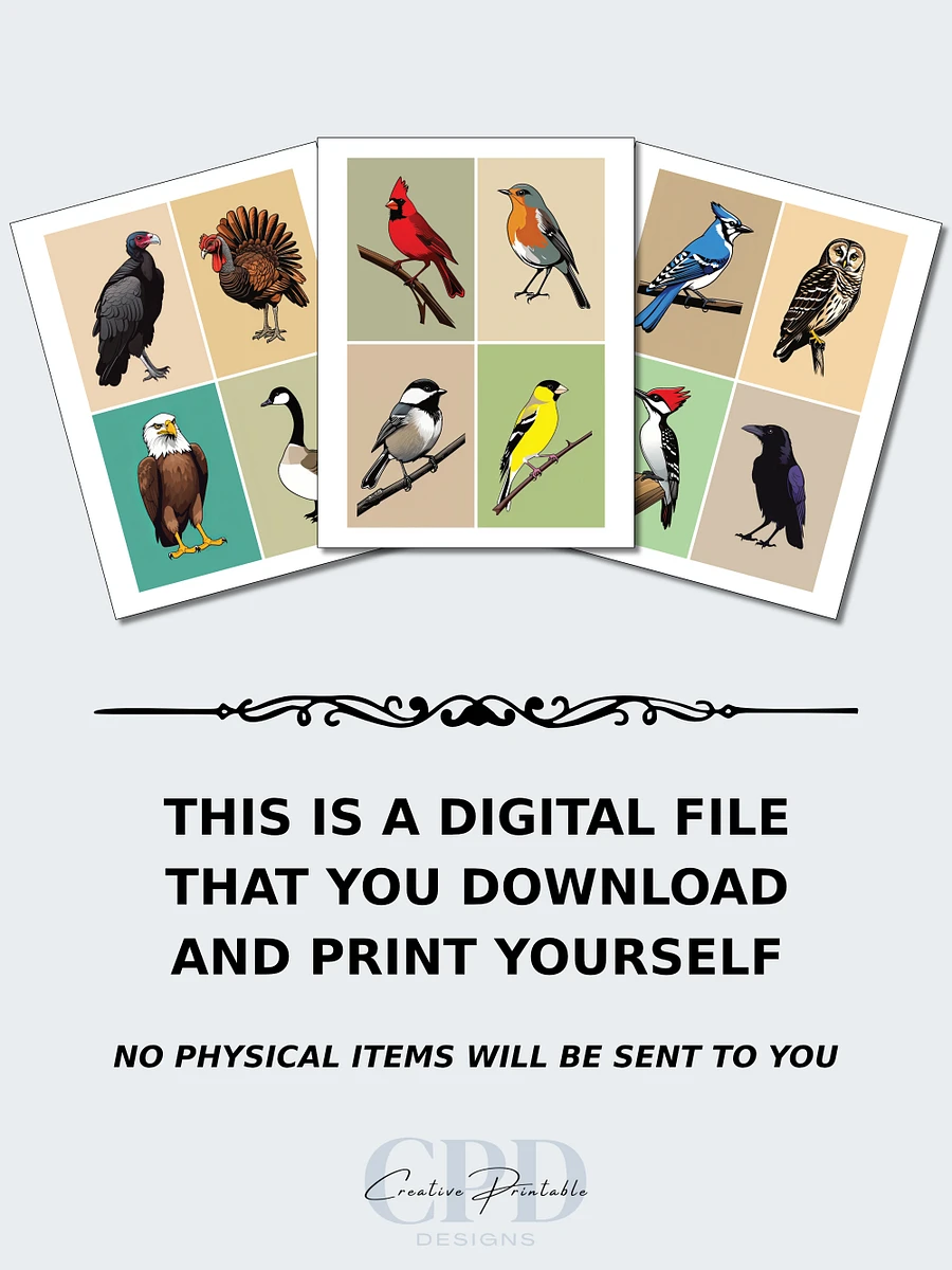 Printable Memory Card Game - Woodland Birds product image (8)