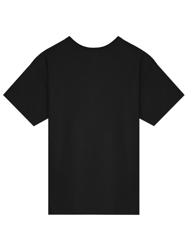 🔥 EMSPIRACY x DRAGON LINE Gildan Heavyweight Streetwear Tee 🔥 product image (13)