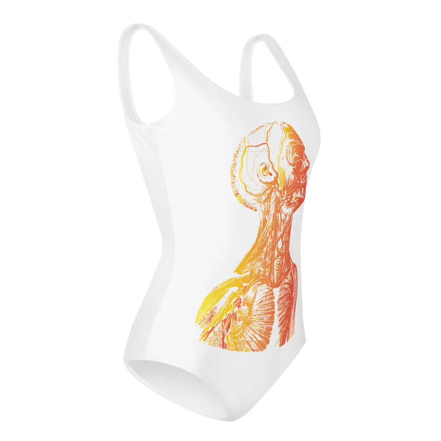 Anatomy - Head product image (4)