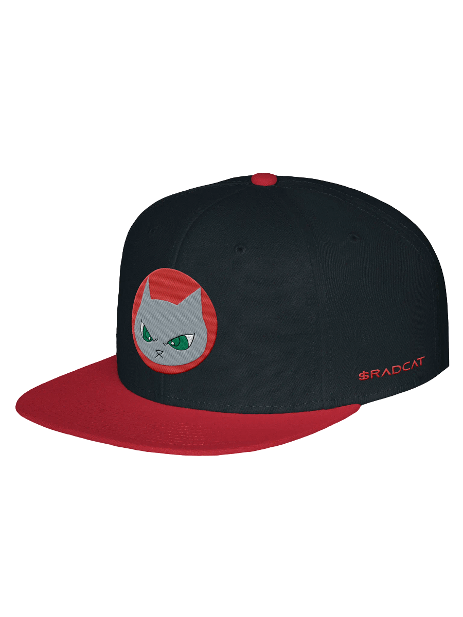 A $RADCAT Snapback Cap product image (1)