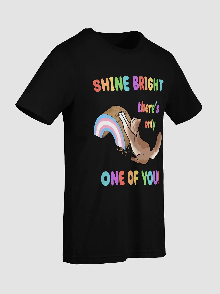 Shine Bright Trans Pride Shirt product image (92)