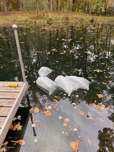 Had all our hard work end this spring with a full winter kill of our fish in the pond of 6 years growing them.  We went and g...