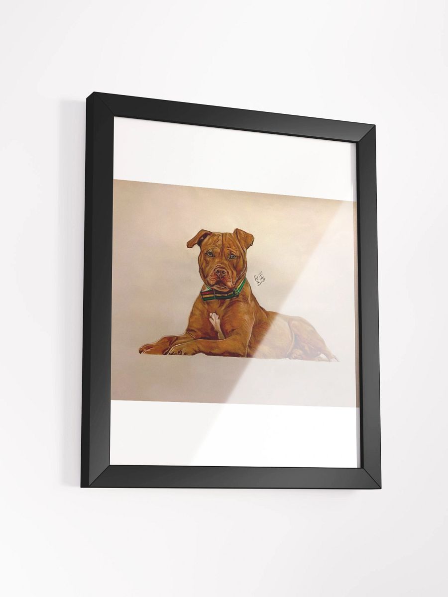 Pitbull Colored Pencil Drawing Framed Print product image (9)