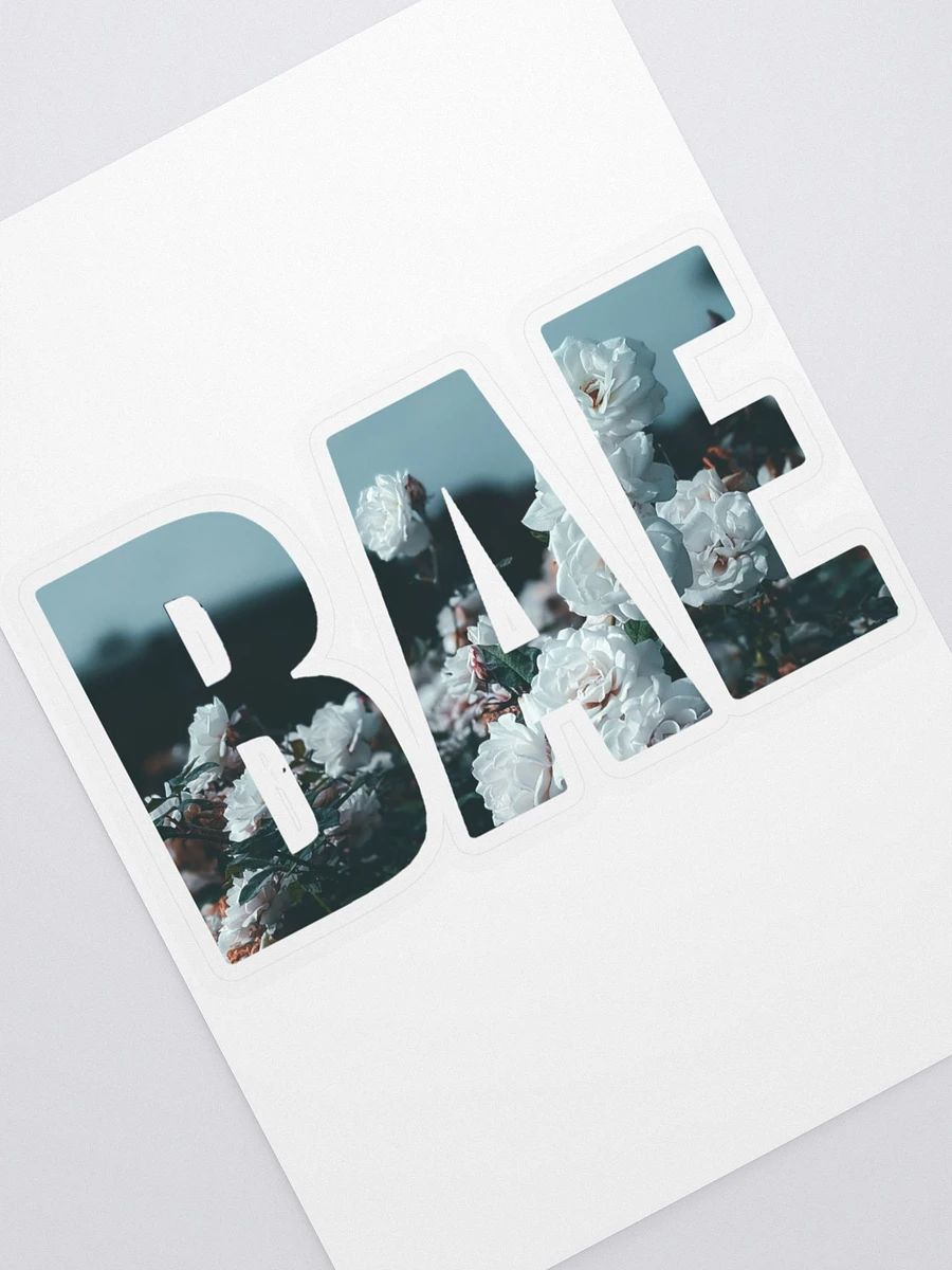 BAE Logo COLD SUMMER COLLECTION product image (2)