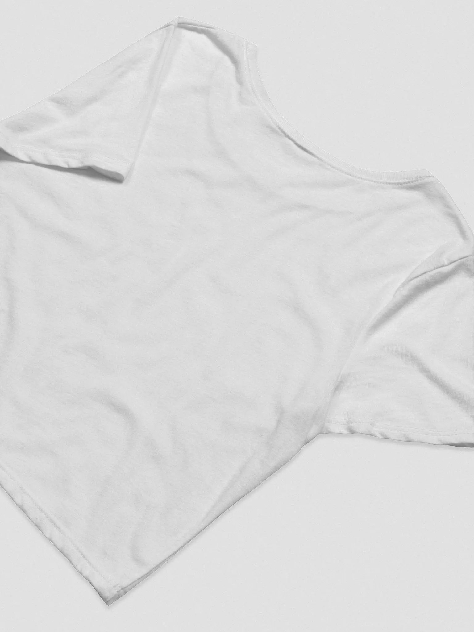 Holly and Her Essentials Crop Tee product image (16)