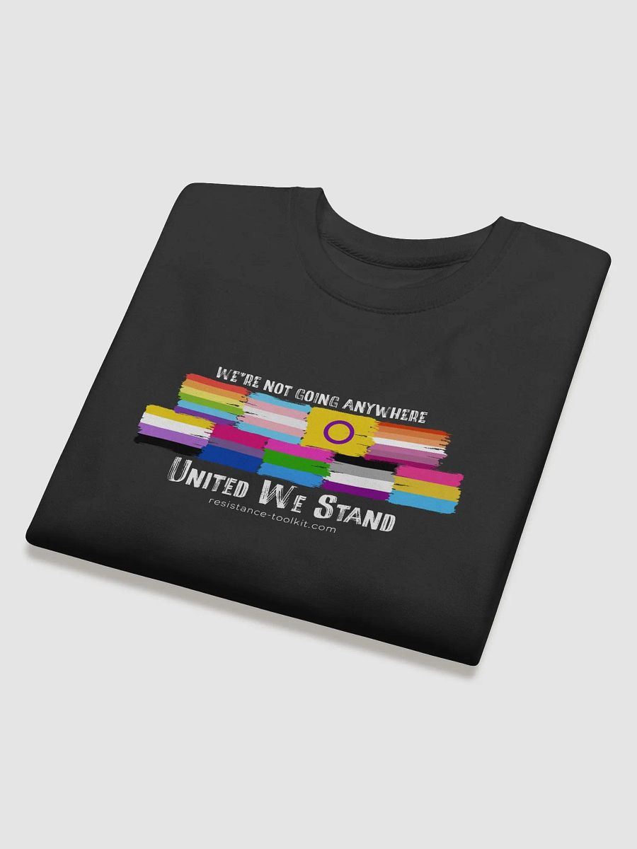United We Stand - Sweatshirt product image (15)