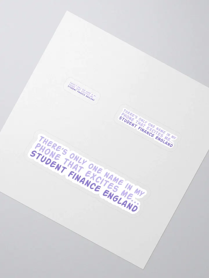 Student Finance Sticker product image (2)