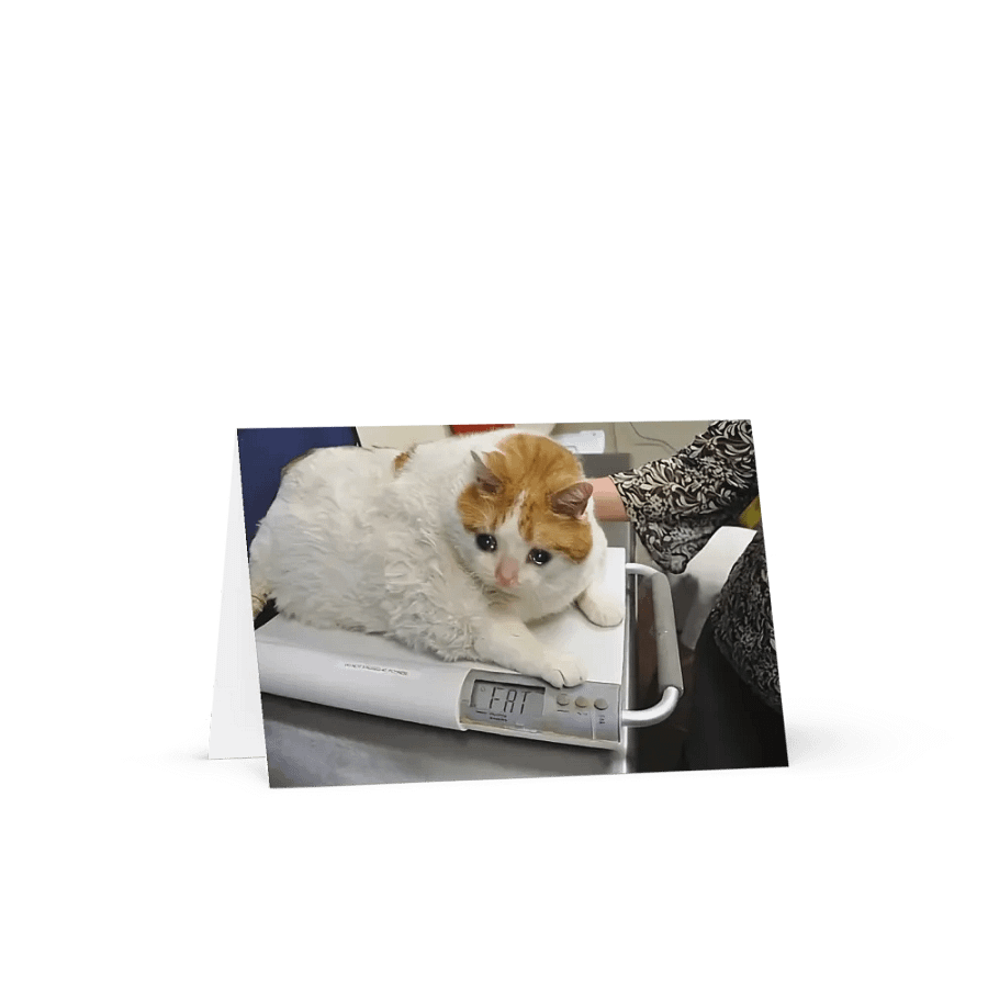 Greeting Card: Meme Cats product image (19)