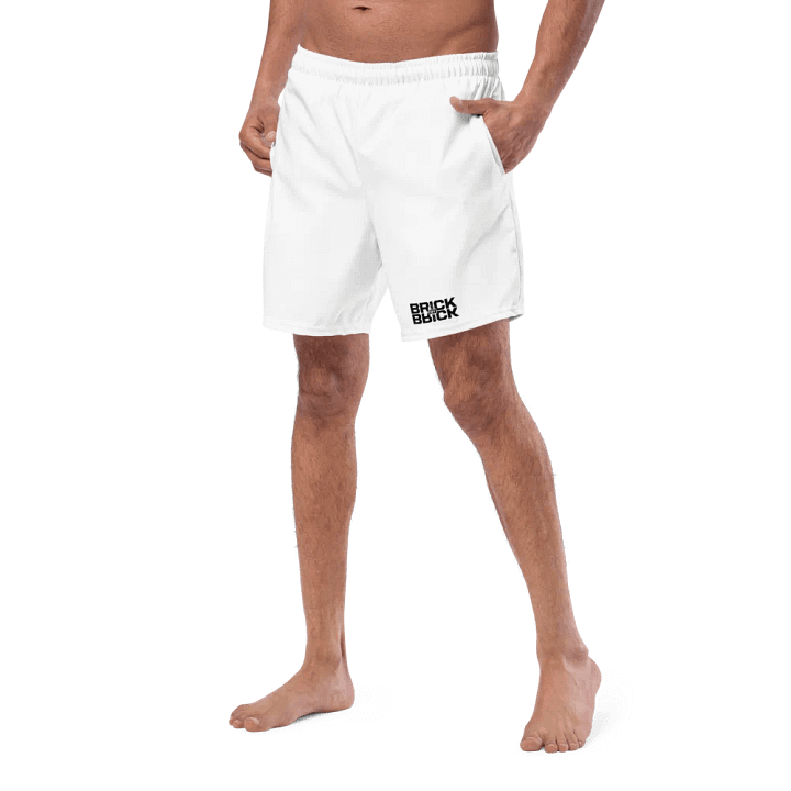 Brick Shorts product image (2)