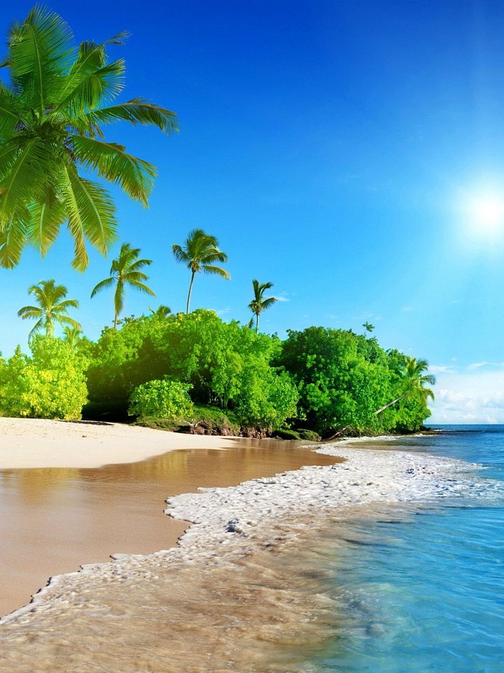 Sunny Breeze Scented Candle 8.oz product image (2)