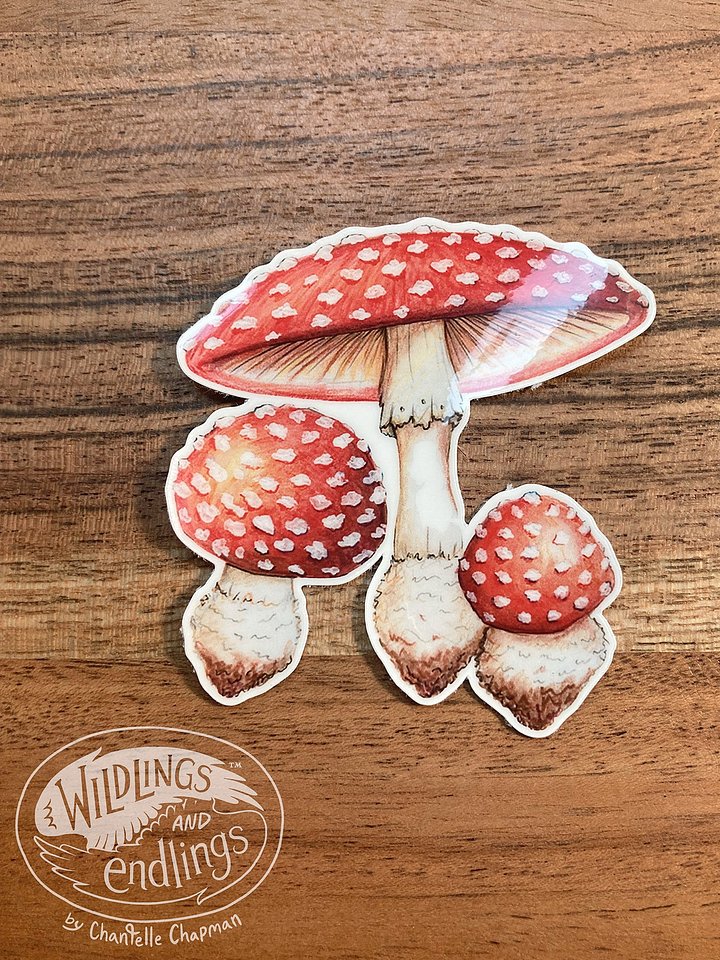 Amanita Muscaria - Individual Sticker product image (1)