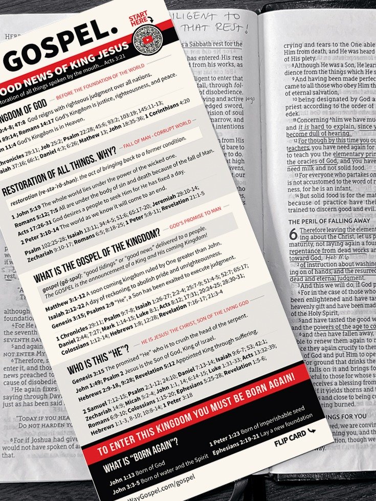 GOSPEL Card (Sets of 10) - 10-Lesson Overview of the Good News of King Jesus product image (3)