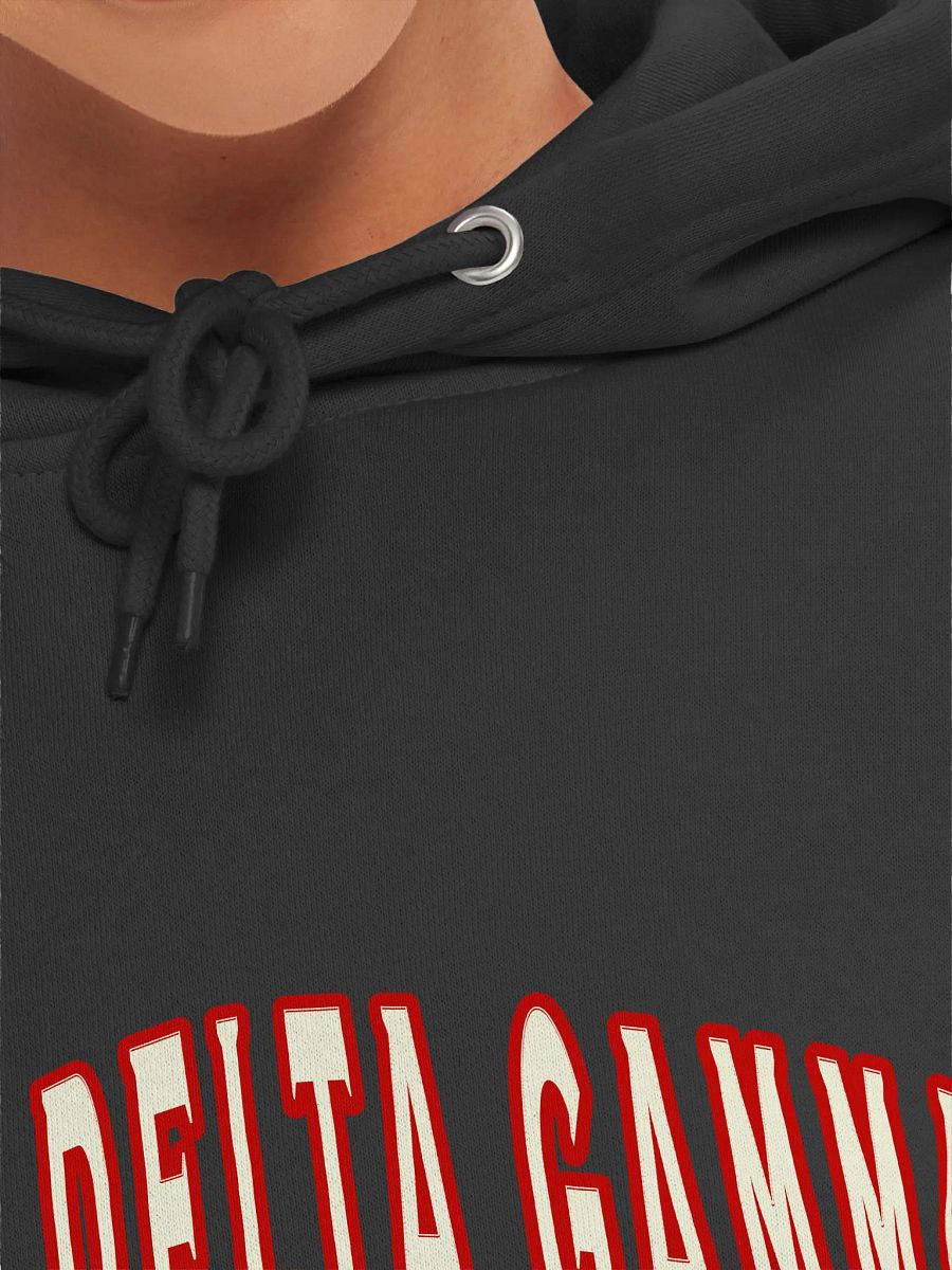 ADG 1924 - Hoodie product image (43)