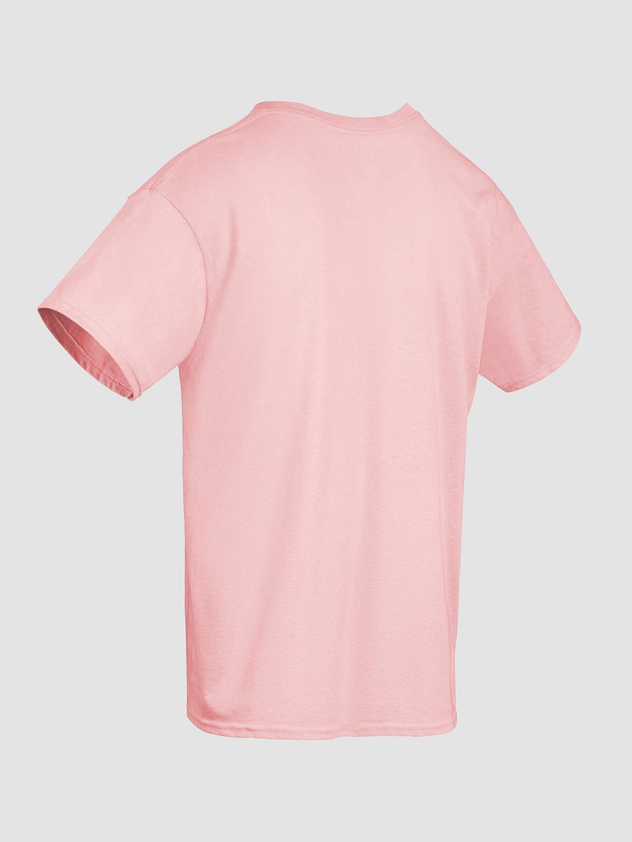 Tūī in Kōtukutuku T-Shirt – Unisex Adult Tee product image (115)