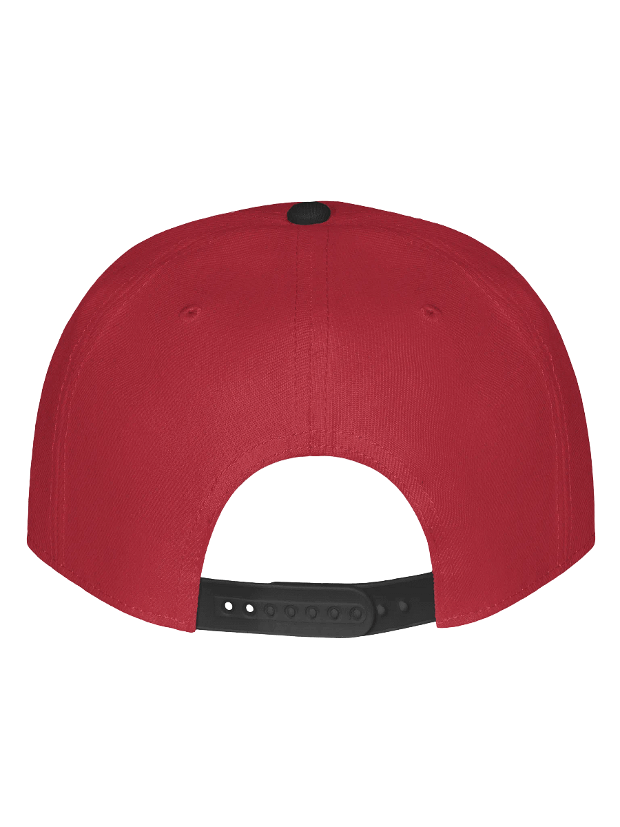 NO DAY$ OFF Otto Wool Blend Snapback Cap product image (23)
