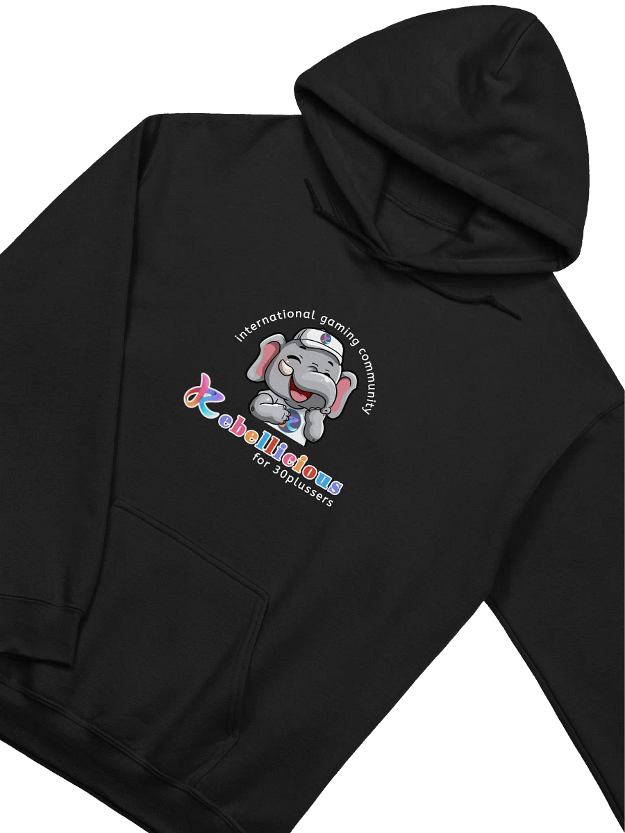 Gildan Classic Hoodie Laughing product image (3)