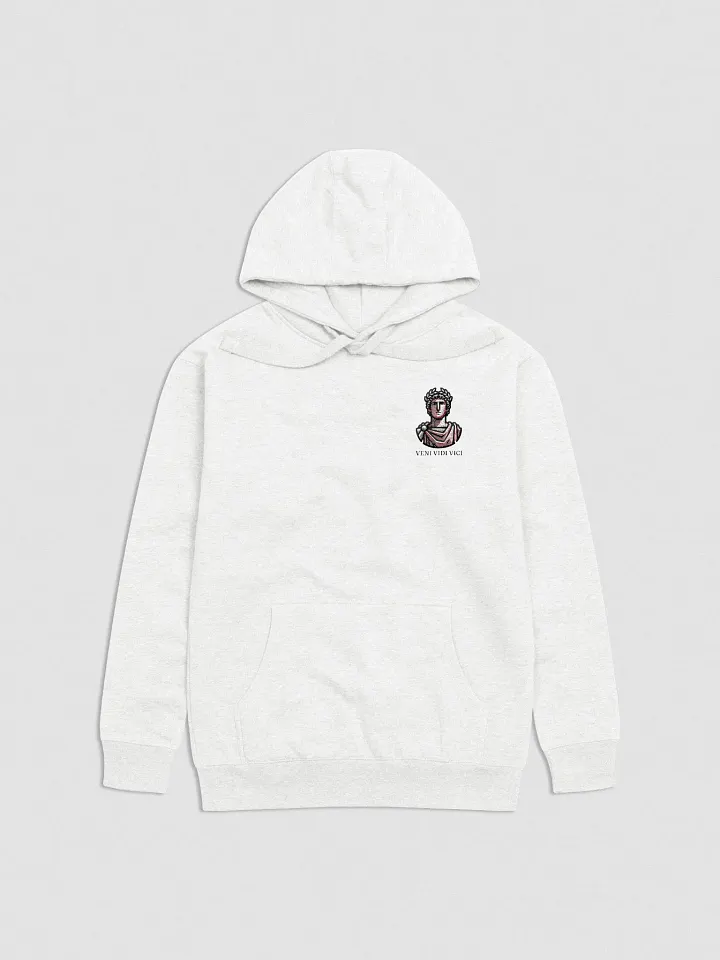 Veni Vidi Vici Hoodie product image (2)