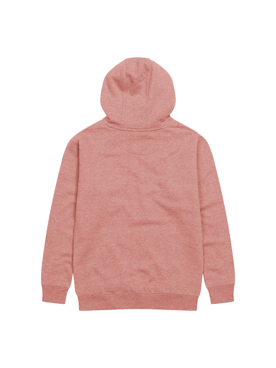 0 Percent Chance Hoodie product image (2)
