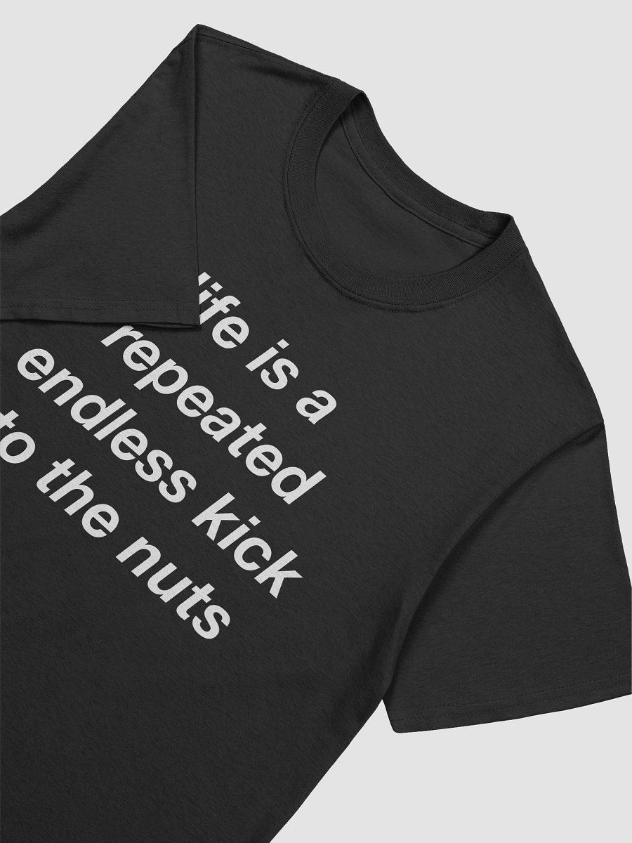 Life is repeated endless kick to the nuts product image (7)