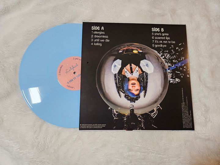 a pay to play world limited edition LP vinyl product image (2)