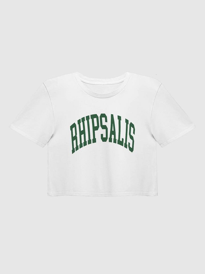 RHIPSALIS varsity crop top product image (1)