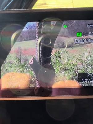 Tennessee is hot and heavy still. Bucks chasing does all over the area #fyp #stay #tuned