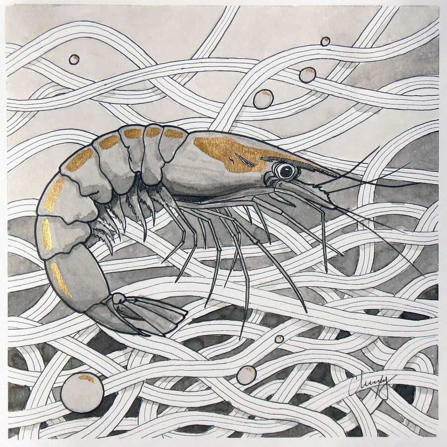 Jumbo Shrimp - Original Drawing product image (2)