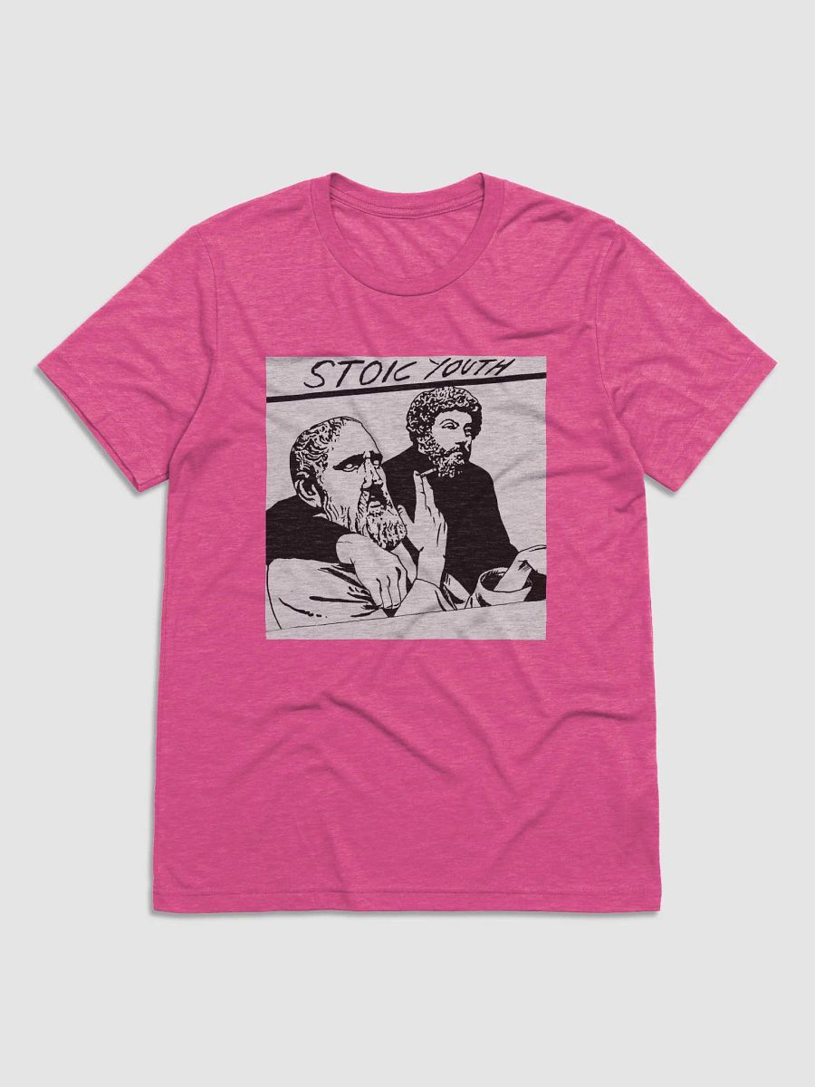 Stoic Youth Bella+Canvas Triblend Short Sleeve T-Shirt product image (1)