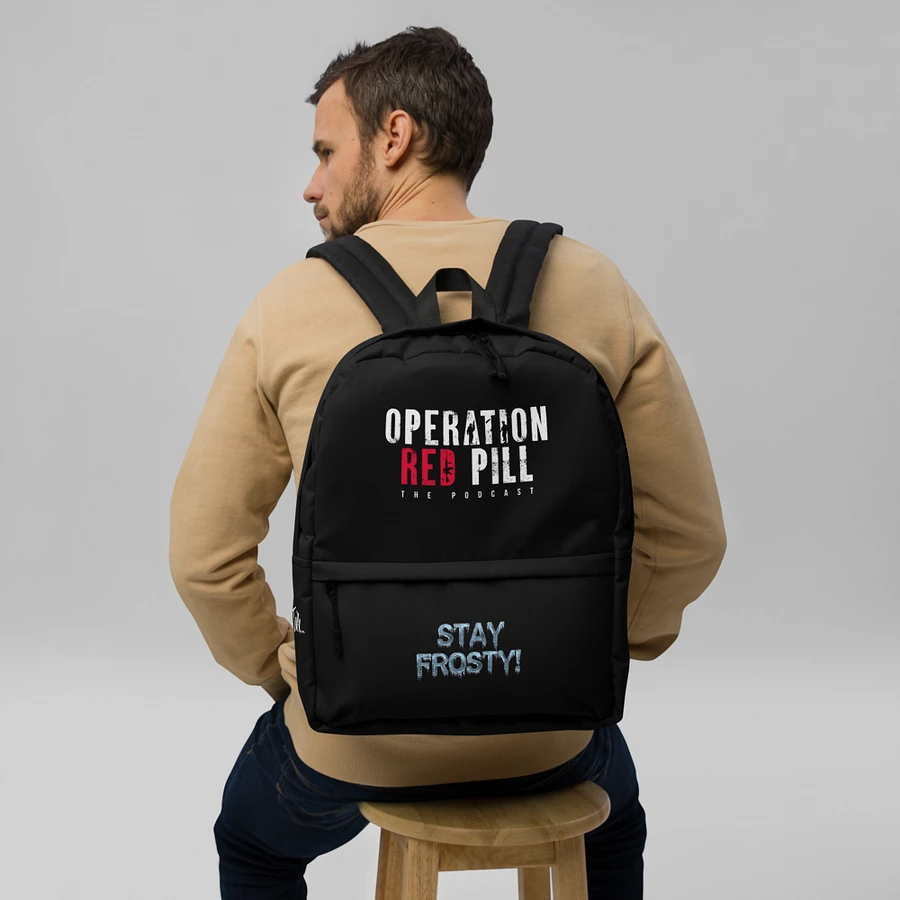 “Stay Frosty” Backpack product image (9)