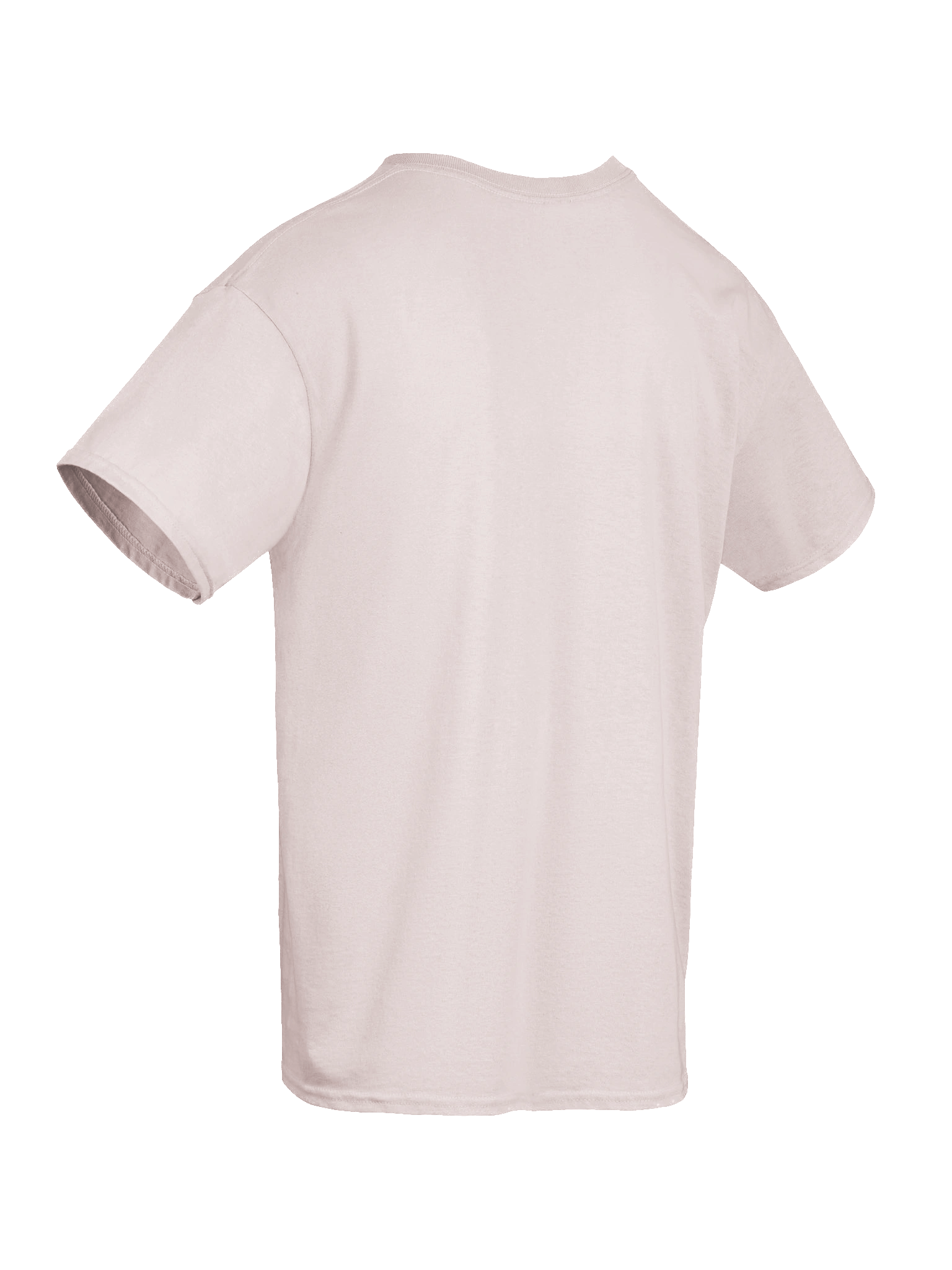 Plucky Plecs T-Shirt product image (10)