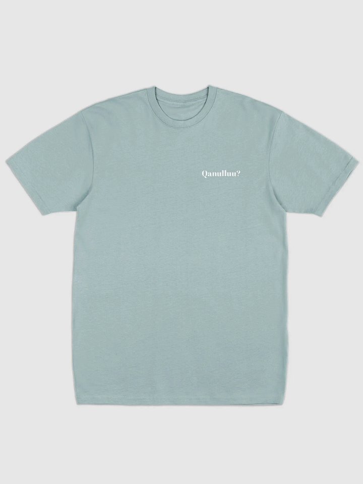qanulluu t-shirt product image (1)