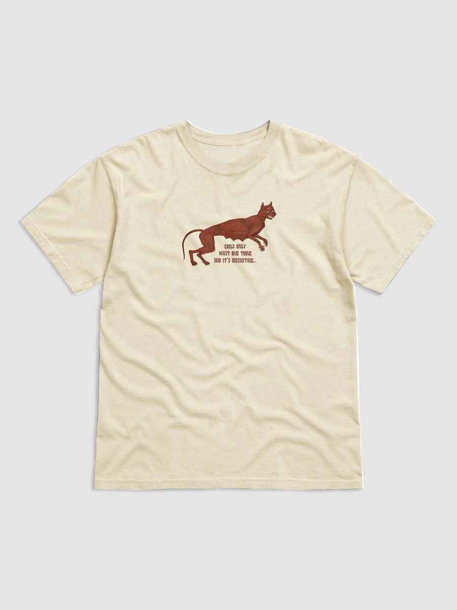 'Girls Only Want One Thing And It's Disgusting...' T Shirt (colours available) product image (1)