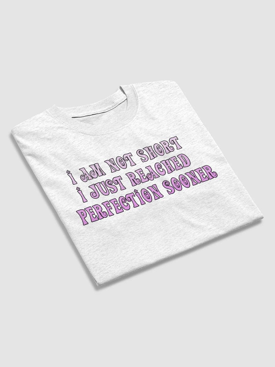 Perfection T-Shirt product image (3)