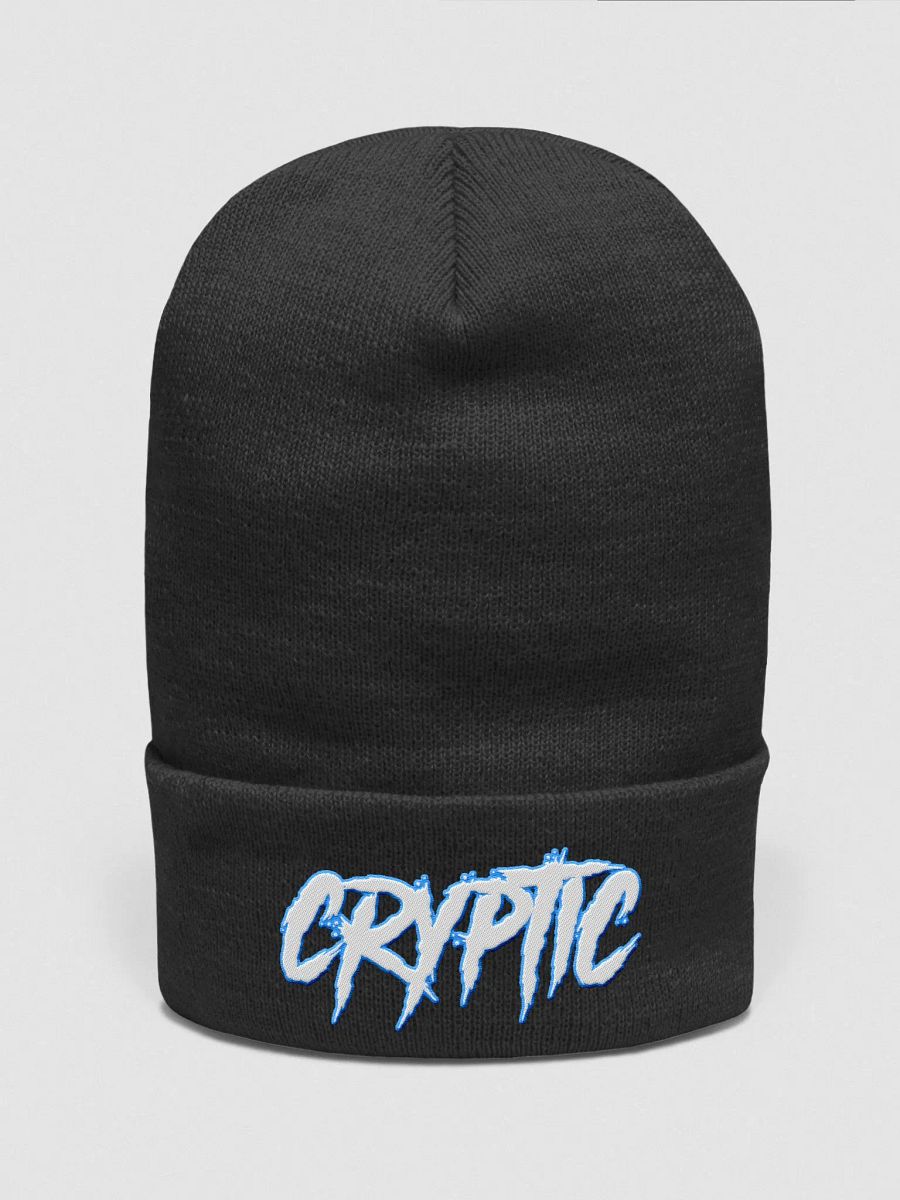 Cryptic Beanie product image (1)