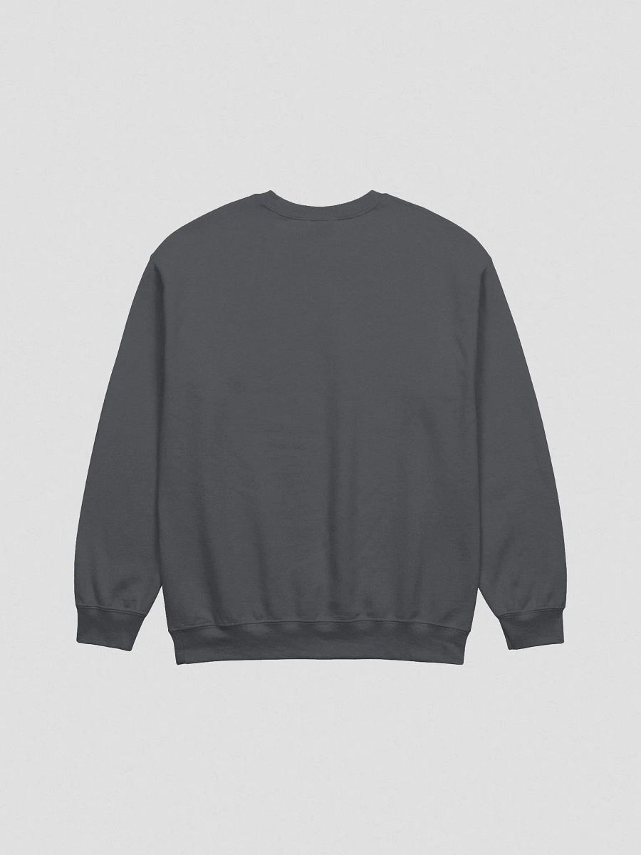Security Sweatshirt product image (3)