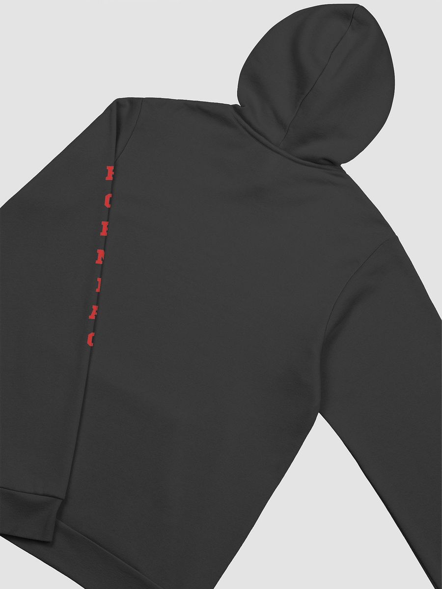 Horns Over Hoops 'Horniac' Hoodie product image (4)