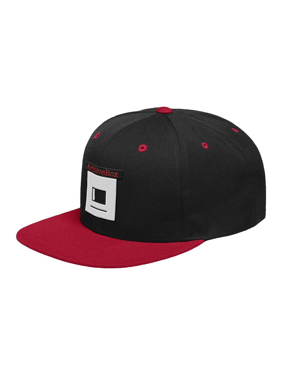 ArchiveBox Snap-Back Hat product image (3)