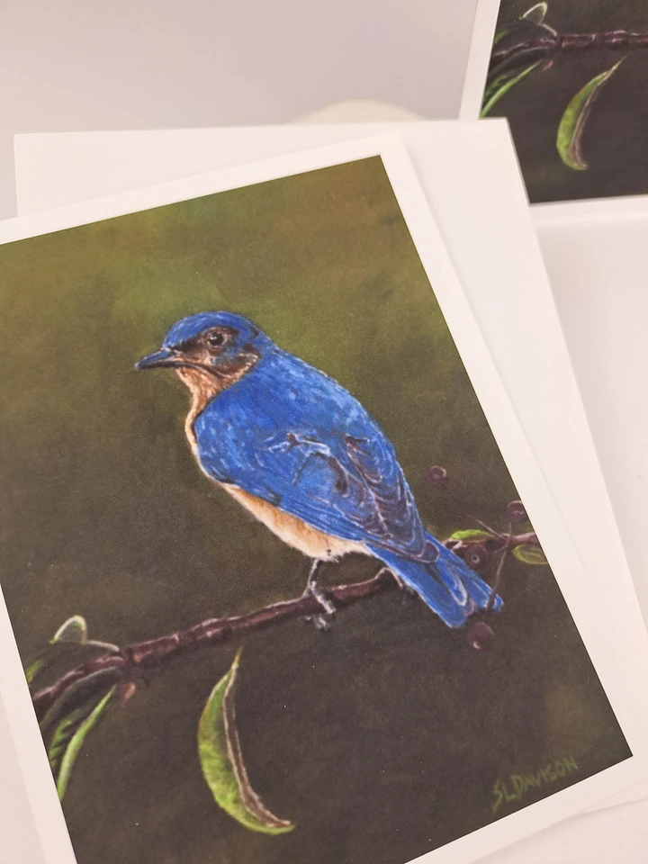 Wildlife Art Greeting Card - Bluebird - Shipping Included product image (2)