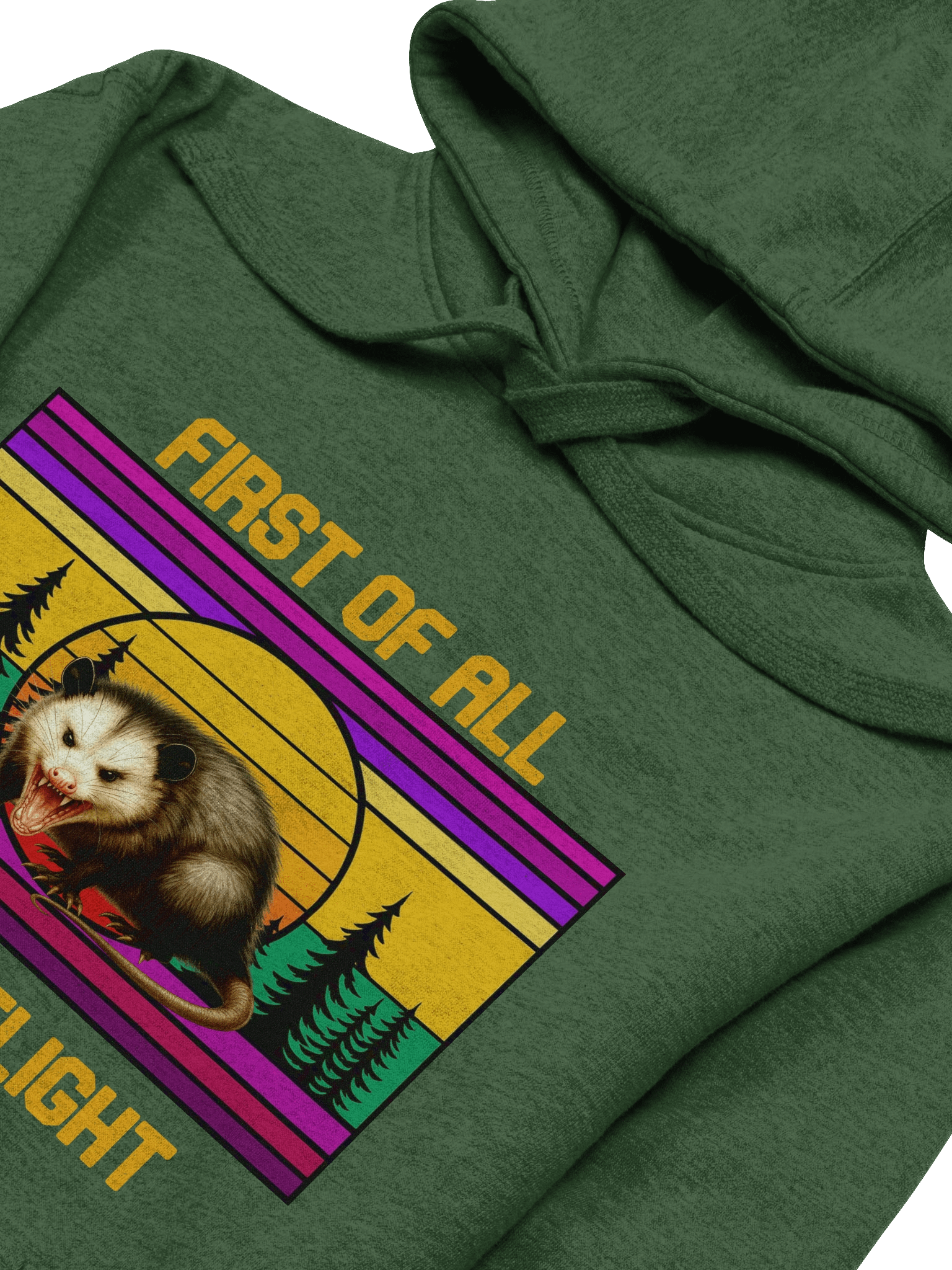 PASP Possum “I’m A Delight” Hoodie – Fall Edition product image (3)