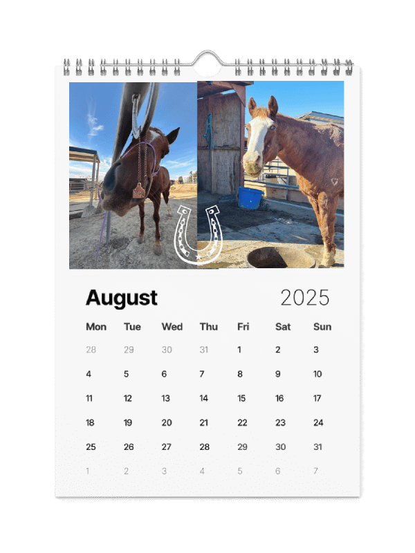 2025 Sorrel Calendar product image (8)