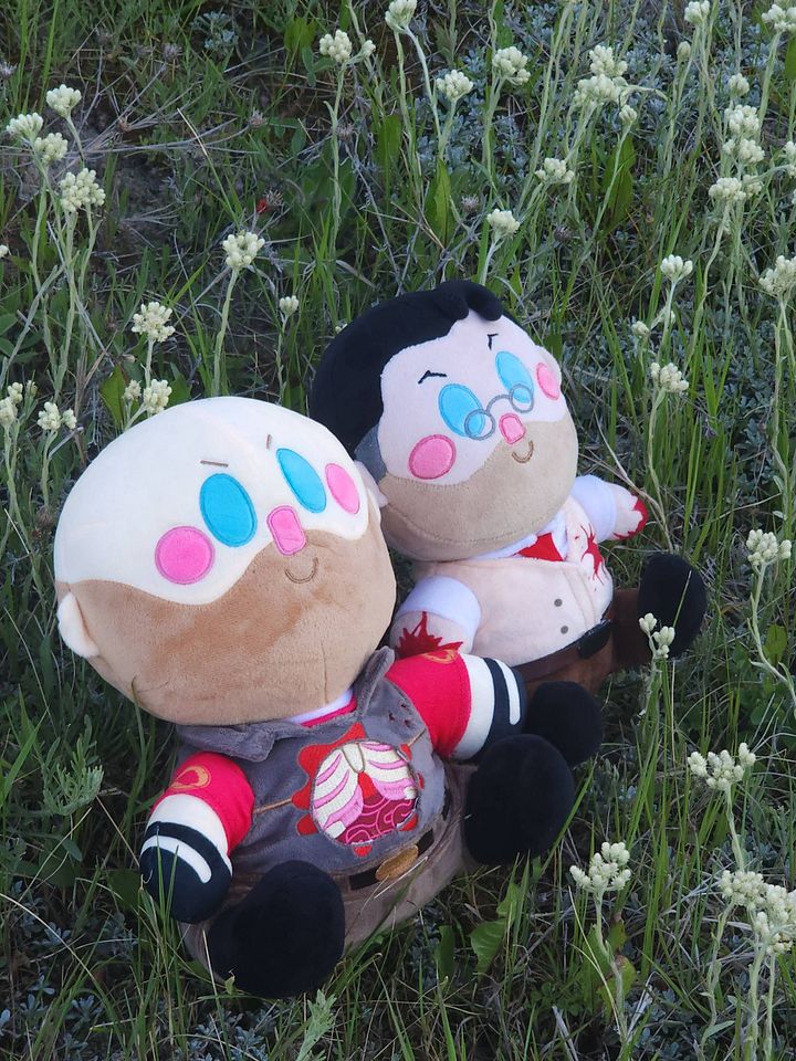 Team Fortress 2 Medic and Heavy Plushie Bundle (Meet the REAL Medic Limited Edition) product image (2)