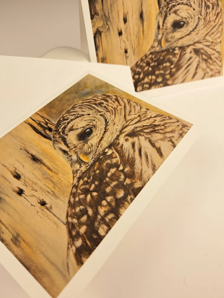 Wildlife Art Greeting Card - Barred Owl - Shipping Included product image (2)
