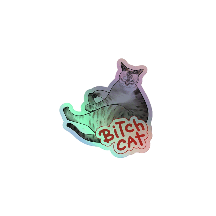 Special Edition Holographic Bitch Cat product image (1)