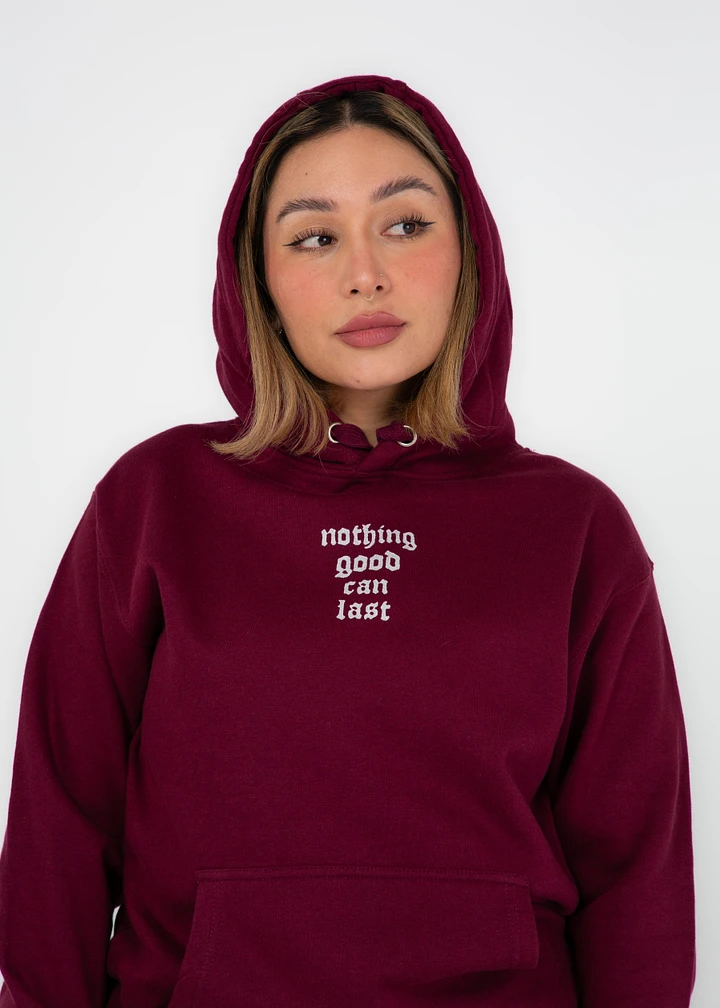 Nothing Good Can Last - Hoodie product image (13)