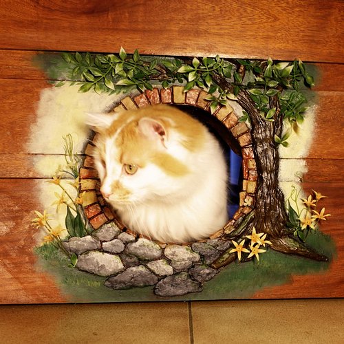 I made the cutest hobbit cat door for NotMyCat!!

I was invited to an official Lord of The Rings Hobbit festival in the fall,...