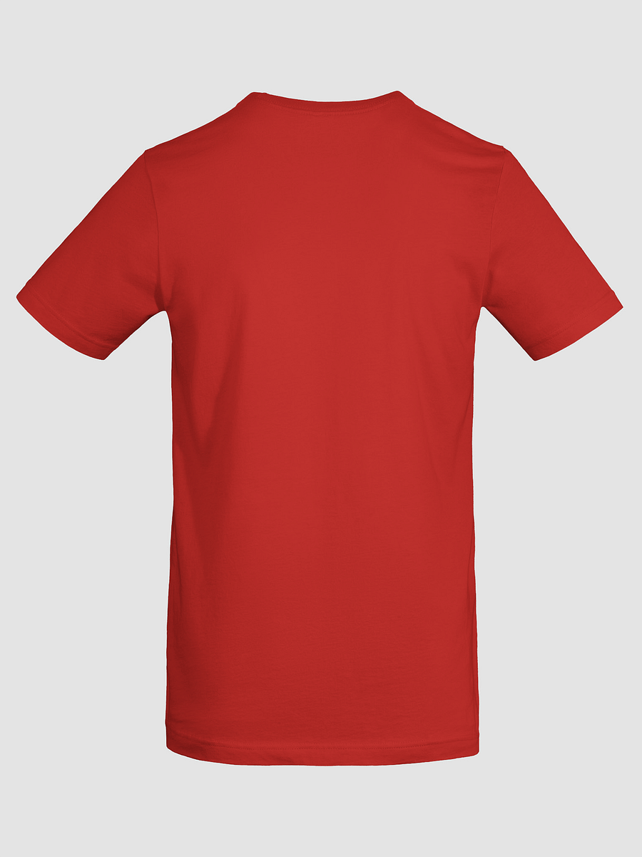 Enjoy Epicurus (Bella+Canvas Supersoft T-Shirt) product image (56)