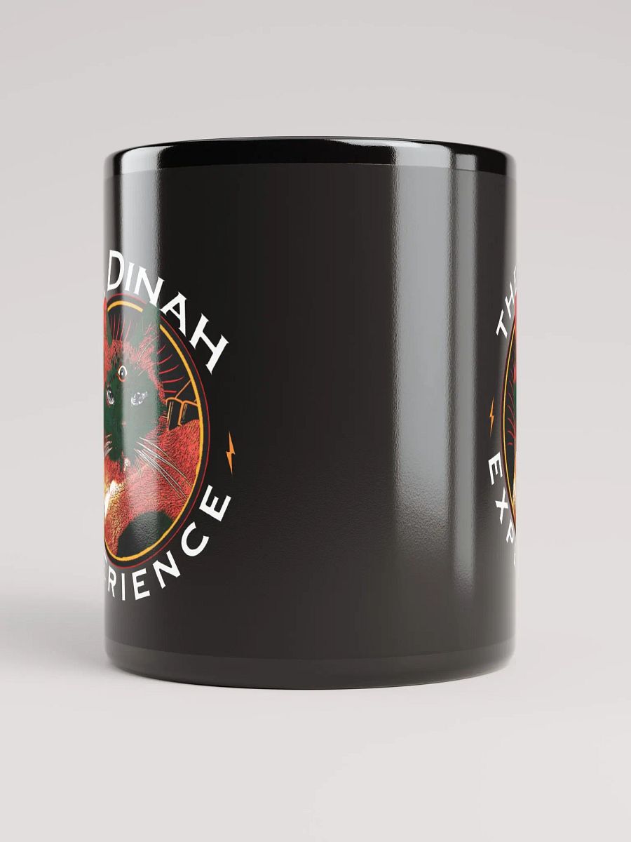 The Dinah Experience podcast Mug product image (9)