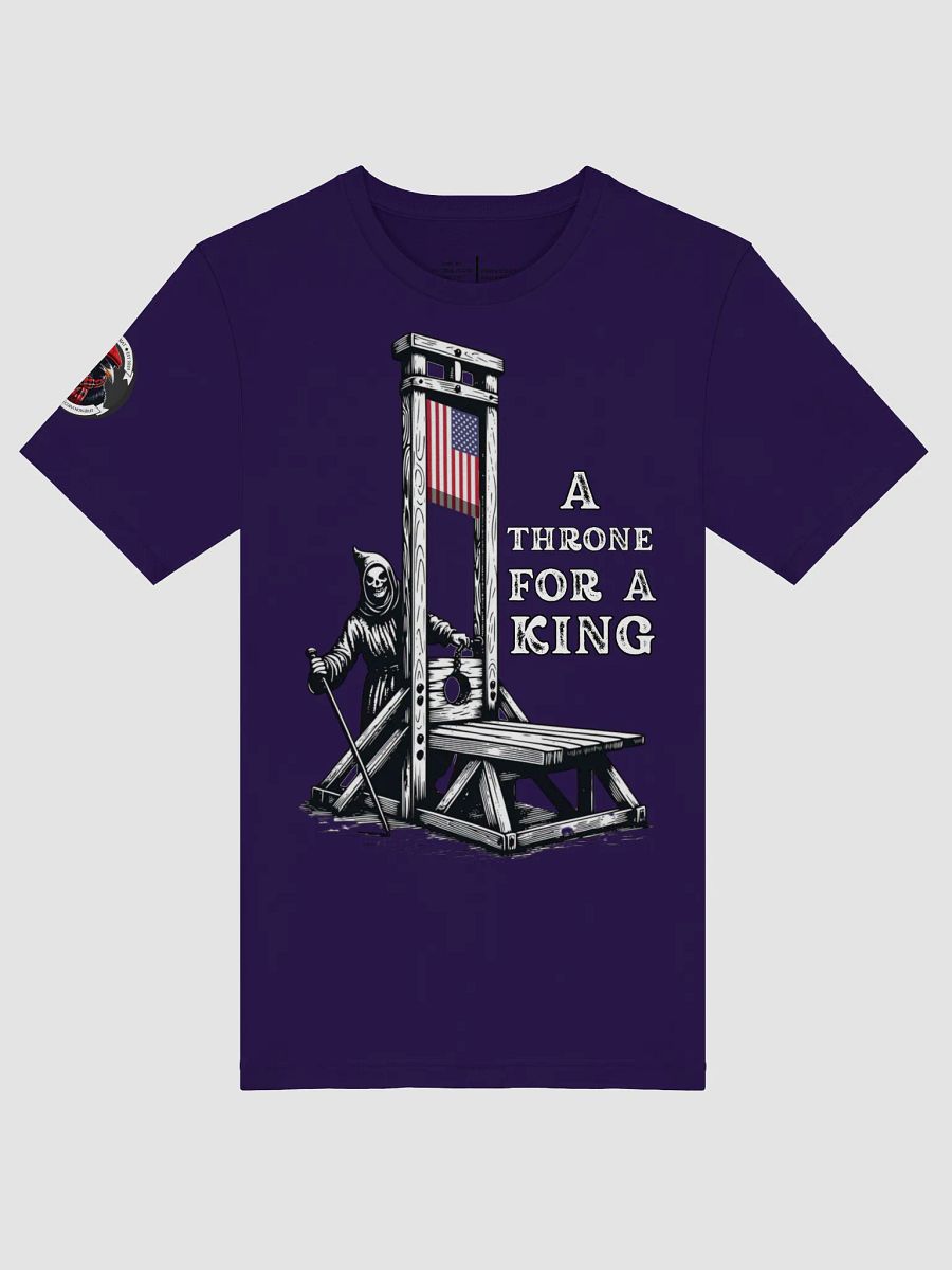 LIMITED - JUNE 2025 - FLAG DAY - NO KINGS product image (45)
